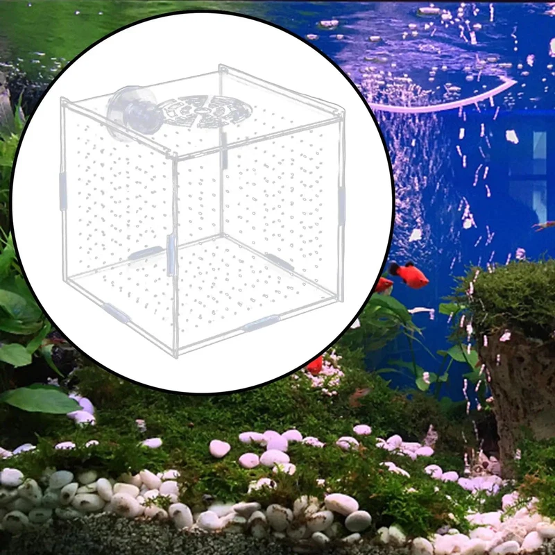 Aquarium-Isolationsbox, multifunktionaler Aquarium-Versorgungs-Fischzuchthalter für neugeborene Jungfische, Guppys, aggressive Fischbabys, Garnelen