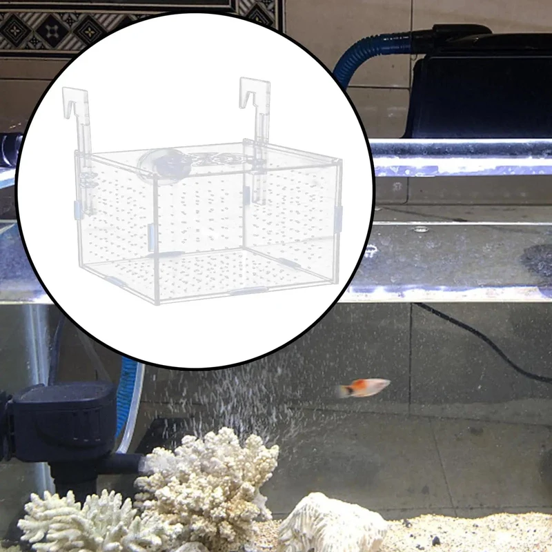 Aquarium-Isolationsbox, multifunktionaler Aquarium-Versorgungs-Fischzuchthalter für neugeborene Jungfische, Guppys, aggressive Fischbabys, Garnelen