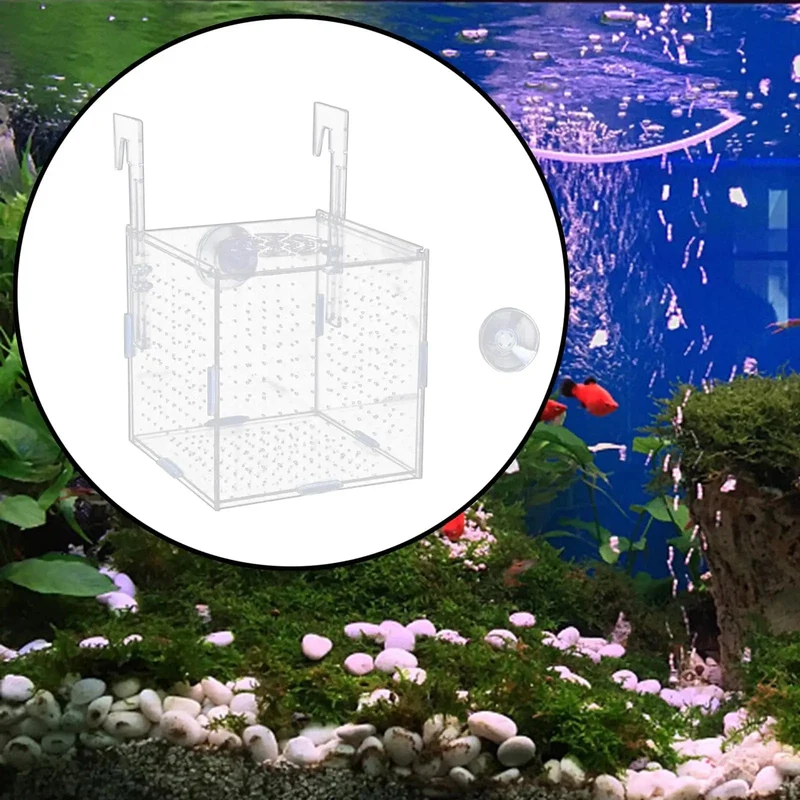 Aquarium-Isolationsbox, multifunktionaler Aquarium-Versorgungs-Fischzuchthalter für neugeborene Jungfische, Guppys, aggressive Fischbabys, Garnelen