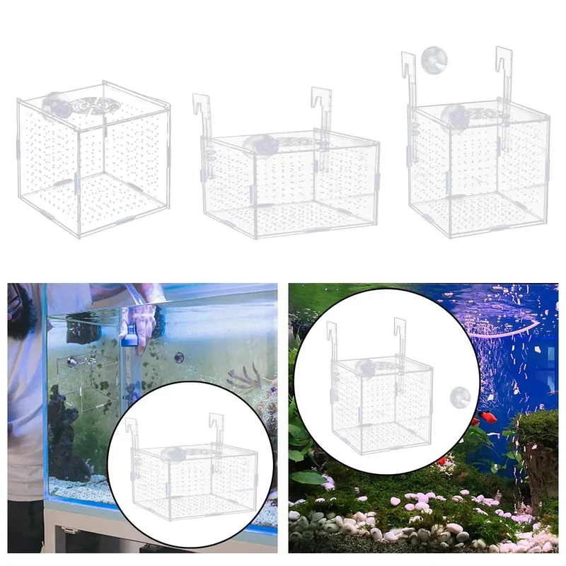 Aquarium-Isolationsbox, multifunktionaler Aquarium-Versorgungs-Fischzuchthalter für neugeborene Jungfische, Guppys, aggressive Fischbabys, Garnelen