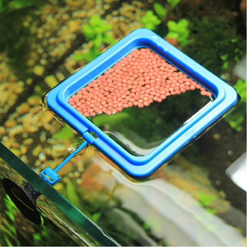1Pc Transparent Acryl Garnelen Feeder Aquarium Fütterung Schüssel Aquarium Feeder Tropische Fische Ratfish Runde Tablett Fütterung Schüssel