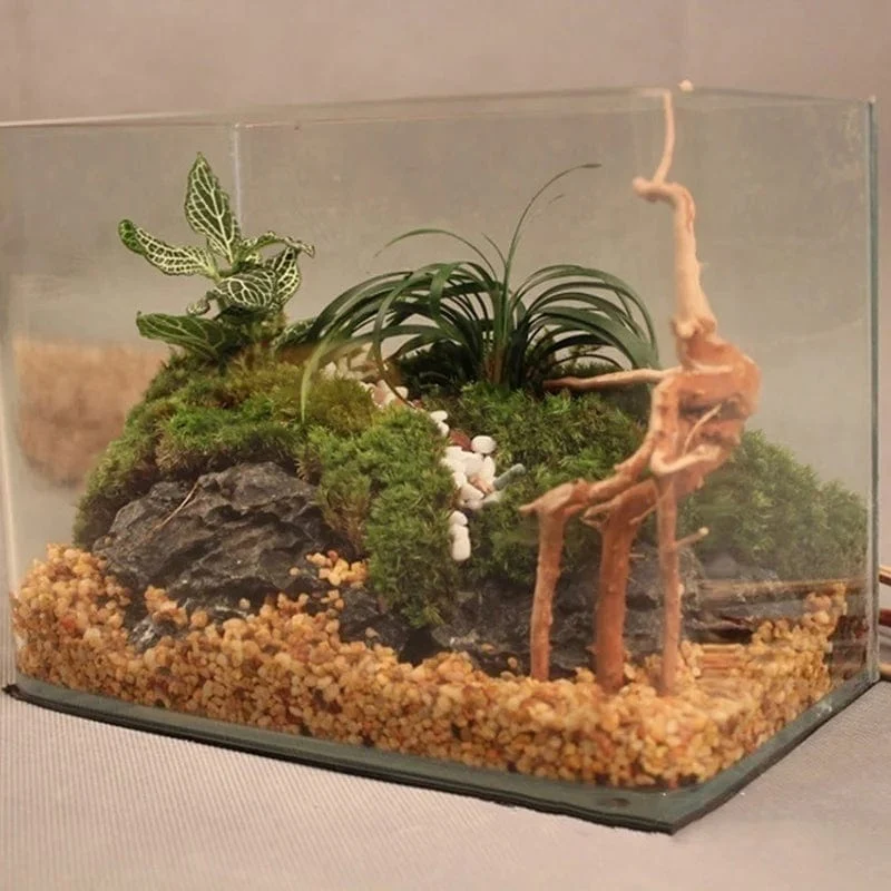 Natürlicher Baumstamm Treibholz Aquarium Reptil Zylinderwurzeln Pflanze Holz Dekoration Ornament Zubehör Aquarium Pflanzen