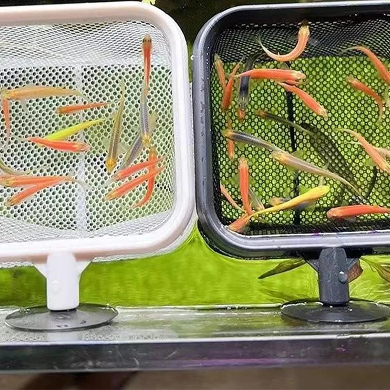 Angelkescher, rostfrei, korrosionsbeständig, Edelstahl-Fischernetz zum Fangen von Fischen, Garnelentank, Aquarium-Zubehör