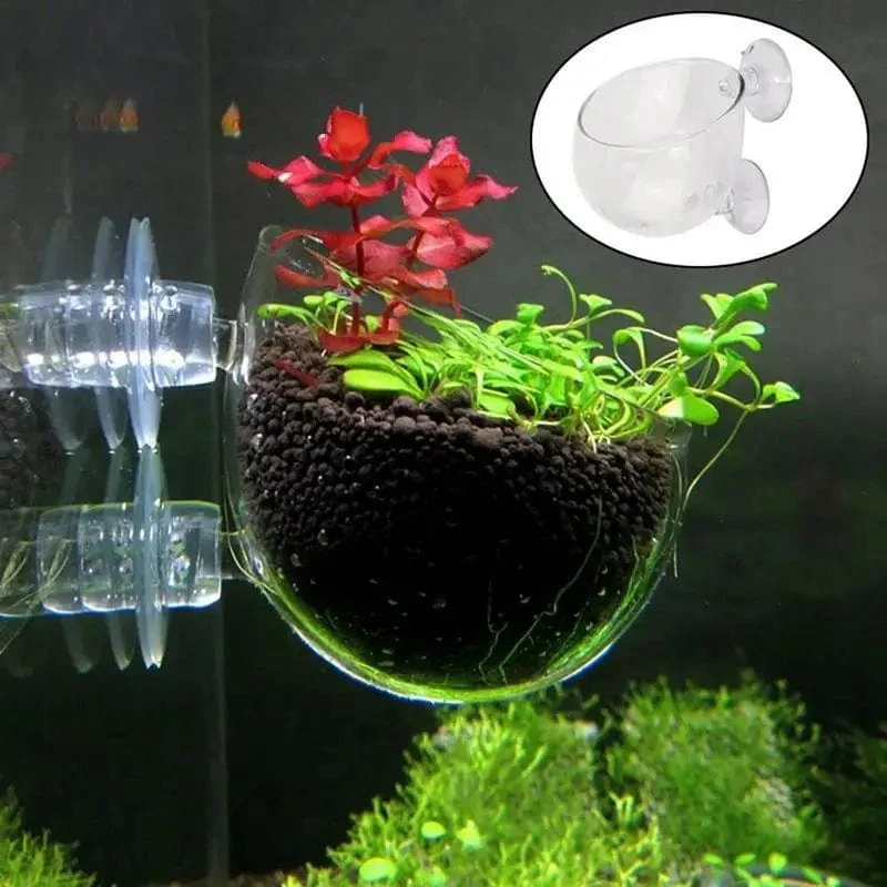 Fisch Wasserpflanzen Pflanztopf Glas Aquarium Dekoration Topf Polka Wasser Topf Wasserpflanzen Zylinder Tasse Aquarium Zubehör