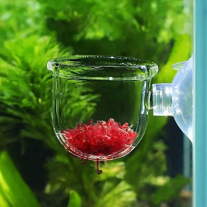 Fisch Wasserpflanzen Pflanztopf Glas Aquarium Dekoration Topf Polka Wasser Topf Wasserpflanzen Zylinder Tasse Aquarium Zubehör