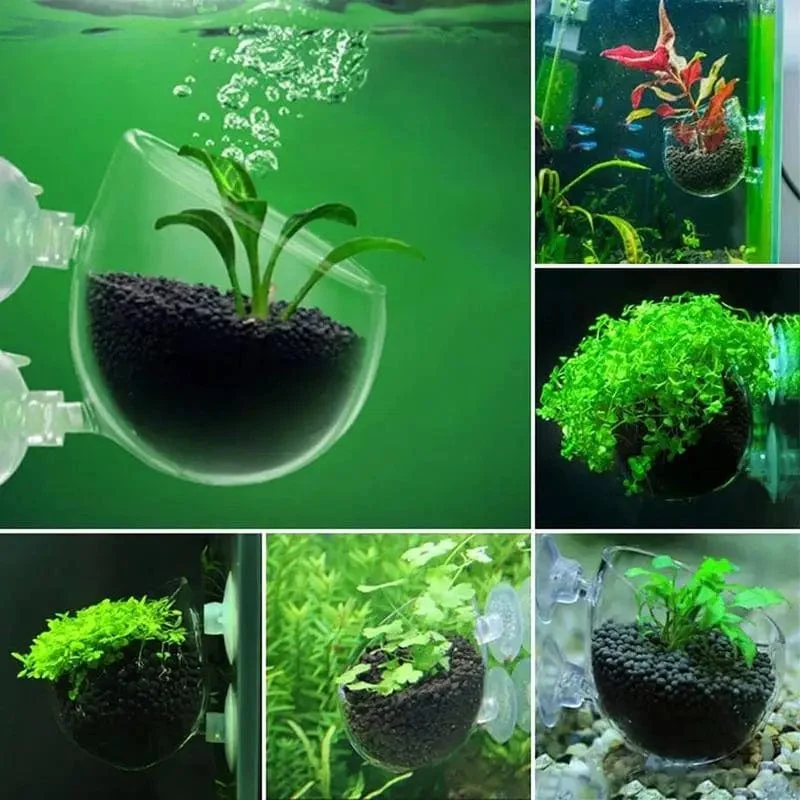 Fisch Wasserpflanzen Pflanztopf Glas Aquarium Dekoration Topf Polka Wasser Topf Wasserpflanzen Zylinder Tasse Aquarium Zubehör