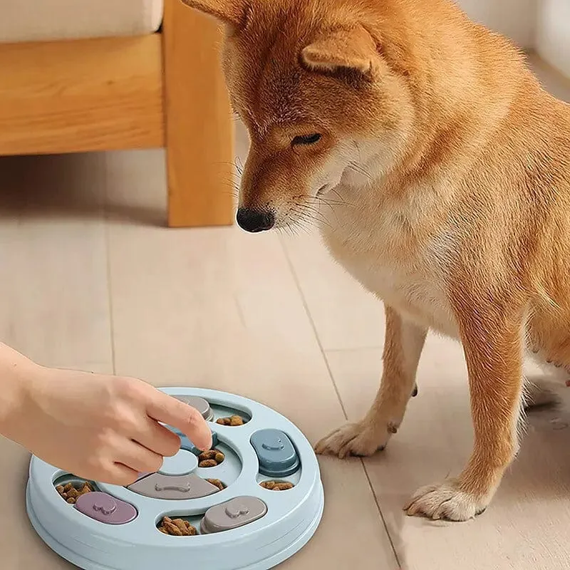 Pet Feeder Hund Pädagogisches Spielzeug Erhöhen Welpen Intellektuelle Lebensmittel Dispenser Interaktive Pädagogische Fütterung Spielzeug