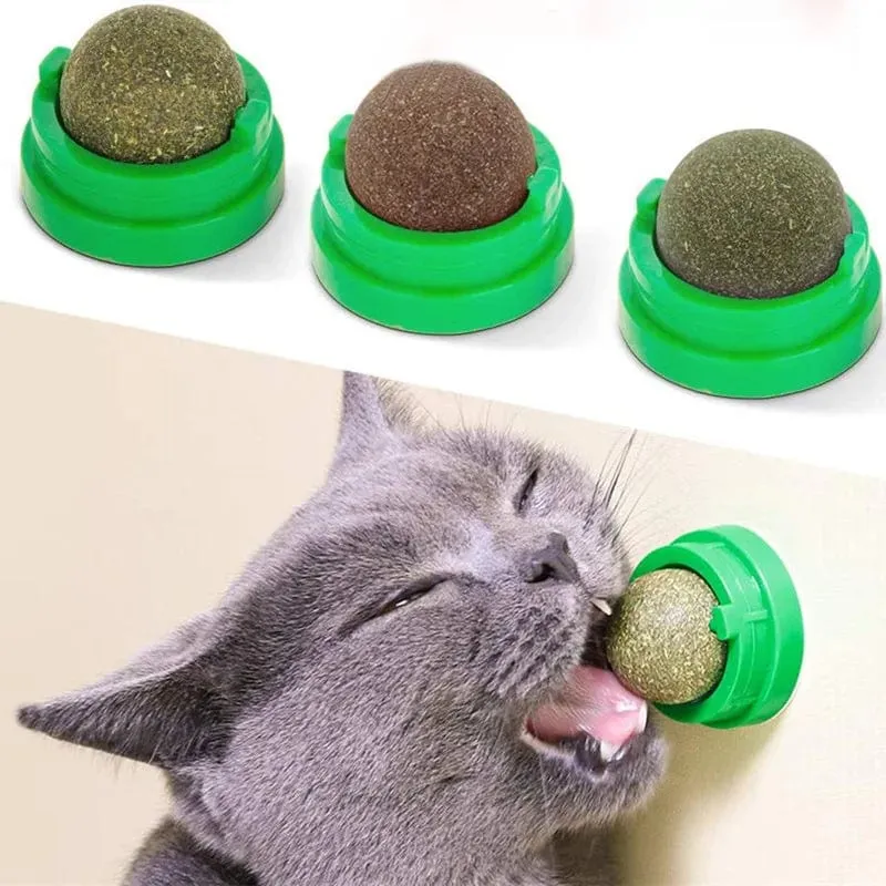 Natürliche Katzenminze, Katzenwand, zum Aufkleben, Kratzspielzeug, Leckerlis, gesund, natürlich, entfernt Kugeln, um die Verdauung zu fördern, Katzengras-Snack