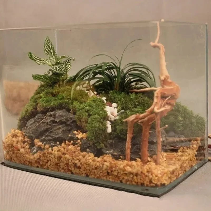 Natürliches Treibholz, Kuckuckswurzeln, Totholz, Baumstamm, Mikrolandschaft, kreativer Reptilienzylinder, Aquarium-Ornament, Aquarium-Dekor