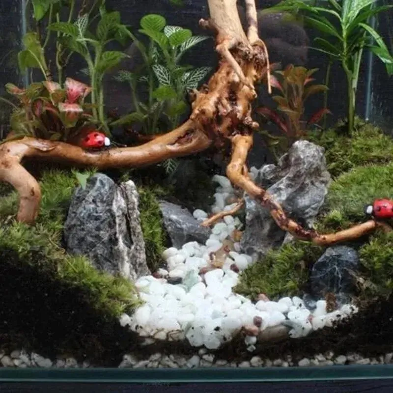 Natürliches Treibholz, Kuckuckswurzeln, Totholz, Baumstamm, Mikrolandschaft, kreativer Reptilienzylinder, Aquarium-Ornament, Aquarium-Dekor