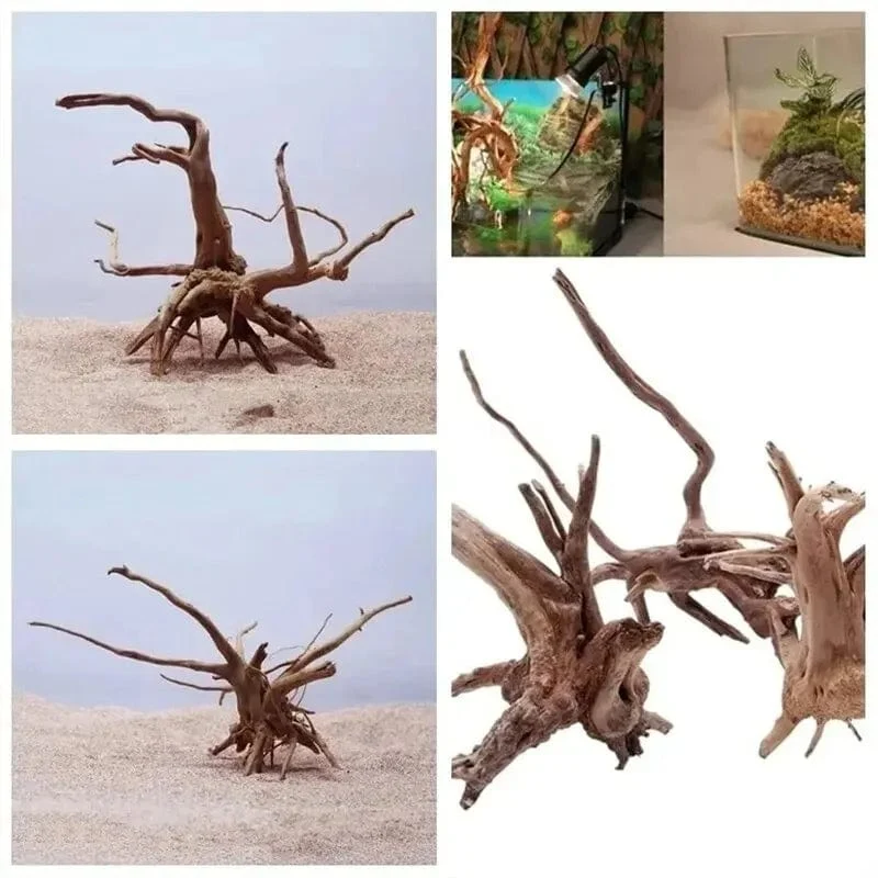 Natürliches Treibholz, Kuckuckswurzeln, Totholz, Baumstamm, Mikrolandschaft, kreativer Reptilienzylinder, Aquarium-Ornament, Aquarium-Dekor
