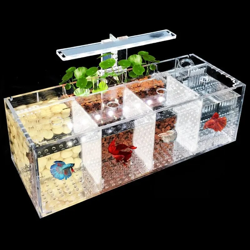 220 V Kreative Betta Fisch Tank Zucht Inkubator Isolation Box Wasser-freies Desktop Kleine Acryl Ökologische Aquarium Tank