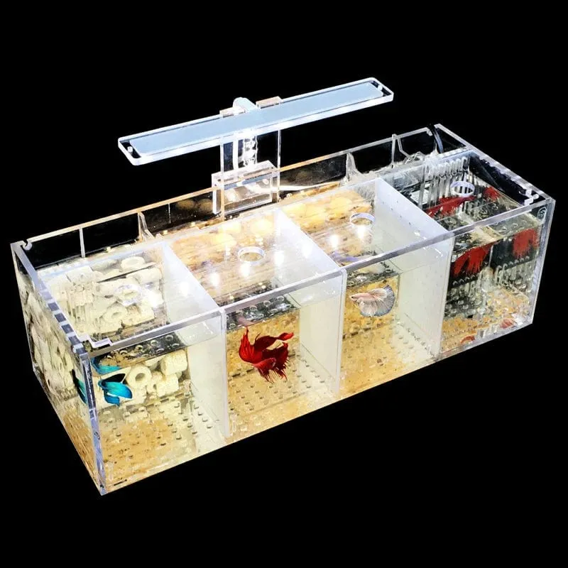 220 V Kreative Betta Fisch Tank Zucht Inkubator Isolation Box Wasser-freies Desktop Kleine Acryl Ökologische Aquarium Tank