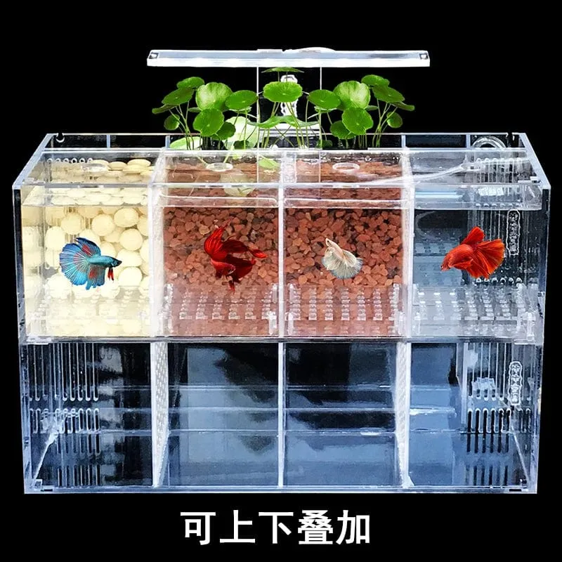220 V Kreative Betta Fisch Tank Zucht Inkubator Isolation Box Wasser-freies Desktop Kleine Acryl Ökologische Aquarium Tank