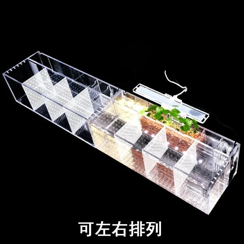 220 V Kreative Betta Fisch Tank Zucht Inkubator Isolation Box Wasser-freies Desktop Kleine Acryl Ökologische Aquarium Tank