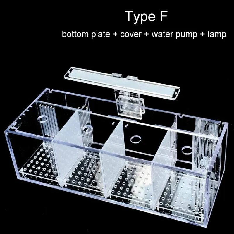 220 V Kreative Betta Fisch Tank Zucht Inkubator Isolation Box Wasser-freies Desktop Kleine Acryl Ökologische Aquarium Tank