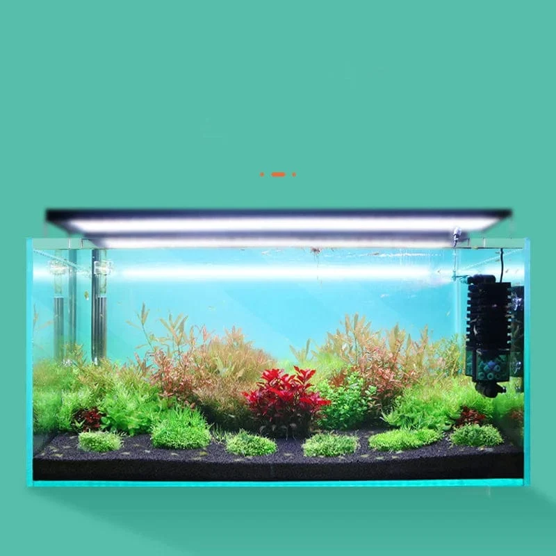 Qanvee Elektrischer Wasserschwamm, USB-Reiniger, biologischer Sauerstoff, Aquarium-Filterschaum, Aquarium-Zubehör, Filtro-Ausrüstung