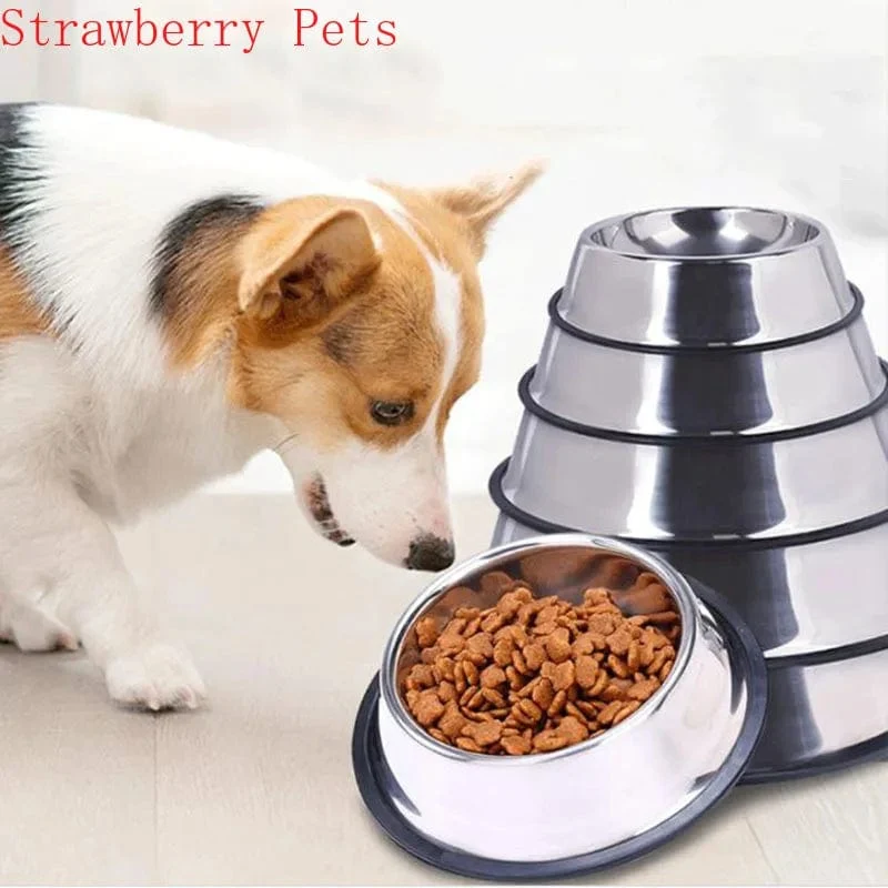 Edelstahl Haustier Hund Schüssel Lebensmittel Lagerung Container Hundefutter Schüssel Wasser Flasche Haustier Schüssel Feeder Schüssel für Kleine Große Hunde katzen