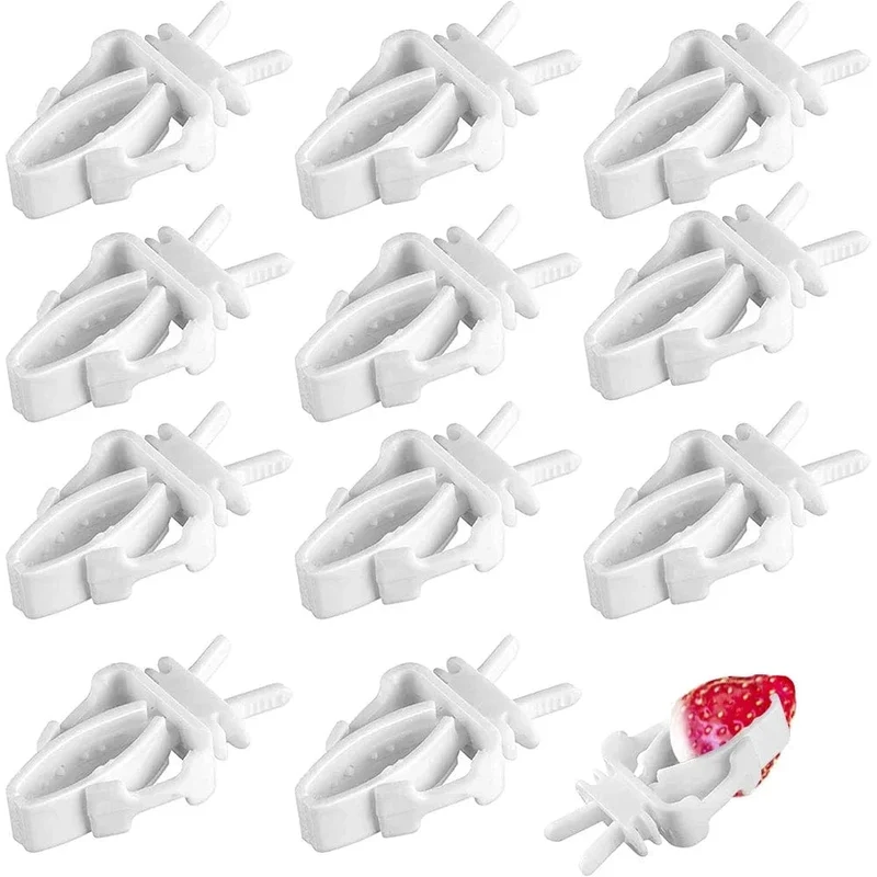 12 stücke Vögel Lebensmittel Halter Haustier Papagei Fütterung Obst Gemüse Clip Tintenfisch Knochen Feeder Gerät Pin Clamp Vogel Käfig Zubehör