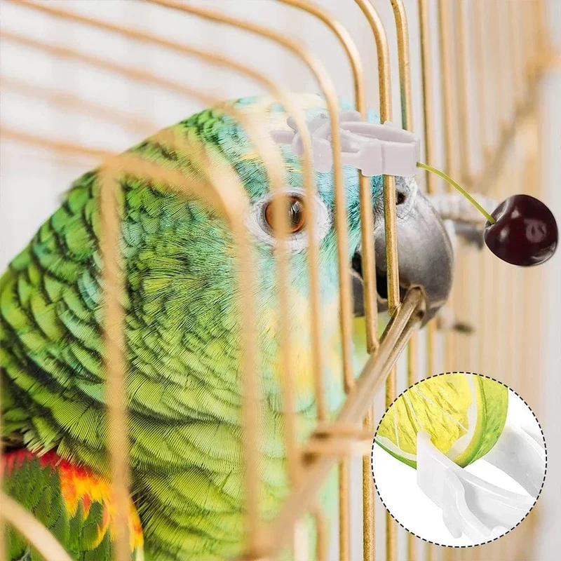 12 stücke Vögel Lebensmittel Halter Haustier Papagei Fütterung Obst Gemüse Clip Tintenfisch Knochen Feeder Gerät Pin Clamp Vogel Käfig Zubehör