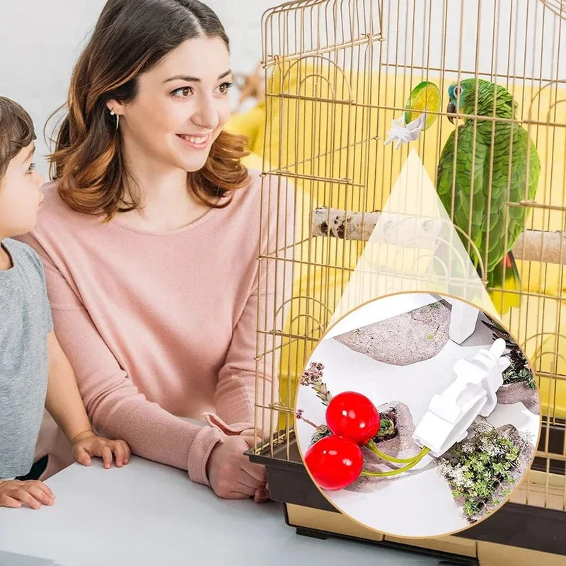 12 stücke Vögel Lebensmittel Halter Haustier Papagei Fütterung Obst Gemüse Clip Tintenfisch Knochen Feeder Gerät Pin Clamp Vogel Käfig Zubehör