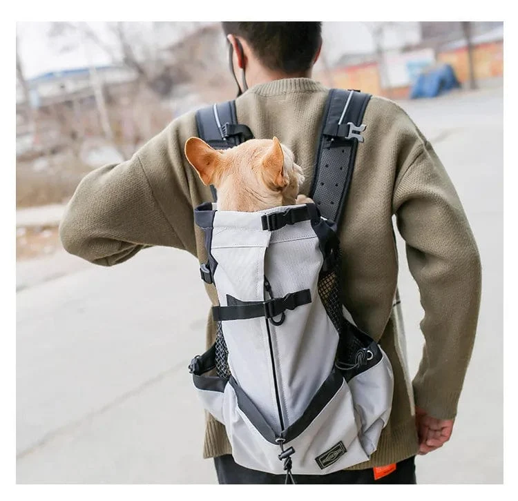Wandern Haustier Hund Träger Reise Rucksack Outdoor Belüftung Atmungsaktiv Fahrrad Motorrad Outdoor Sport Mesh Bag Drop Shipping