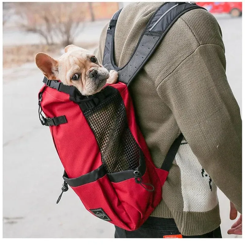 Wandern Haustier Hund Träger Reise Rucksack Outdoor Belüftung Atmungsaktiv Fahrrad Motorrad Outdoor Sport Mesh Bag Drop Shipping