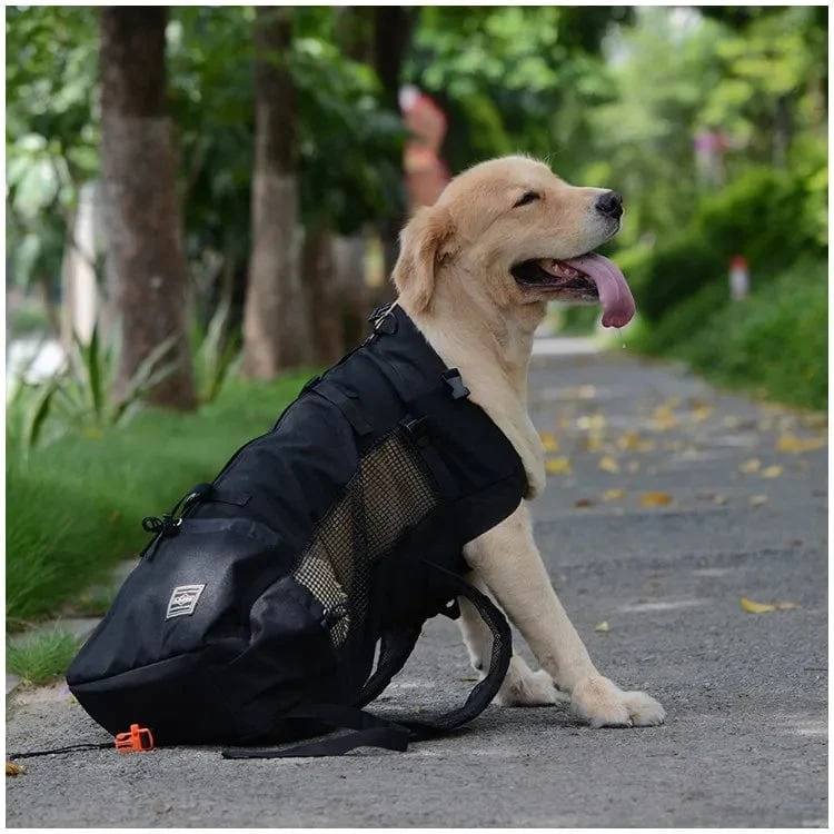 Wandern Haustier Hund Träger Reise Rucksack Outdoor Belüftung Atmungsaktiv Fahrrad Motorrad Outdoor Sport Mesh Bag Drop Shipping