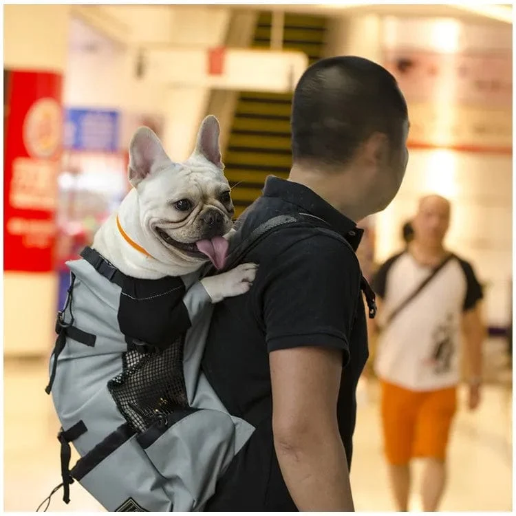 Wandern Haustier Hund Träger Reise Rucksack Outdoor Belüftung Atmungsaktiv Fahrrad Motorrad Outdoor Sport Mesh Bag Drop Shipping