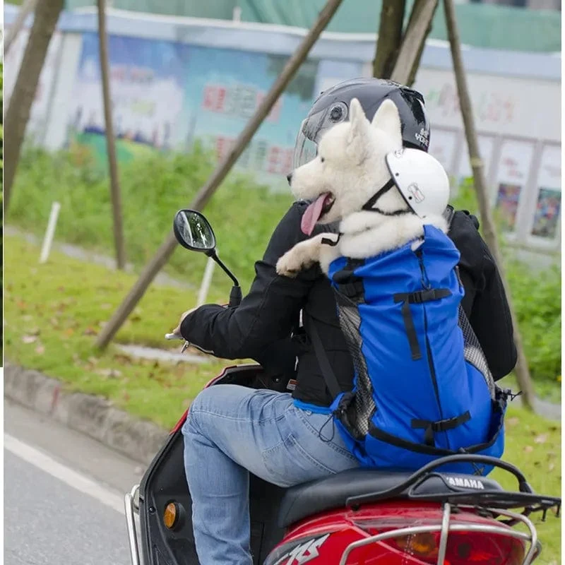 Wandern Haustier Hund Träger Reise Rucksack Outdoor Belüftung Atmungsaktiv Fahrrad Motorrad Outdoor Sport Mesh Bag Drop Shipping
