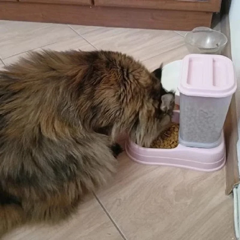 Automatischer Futterspender für Katzen und Haustiere, Trinknapf mit großer Kapazität, Kombination aus Getreideaufbewahrungseimer und Futternapf für Haustiere, Heimtierbedarf