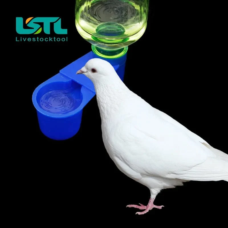 Kunststoff Haustier Vogel Taube Trinker Schüssel Wachtel Wasser Tassen Flasche Katze Huhn Taube Papagei Hamster Doppel Düse Wasser Guide Für Vogel
