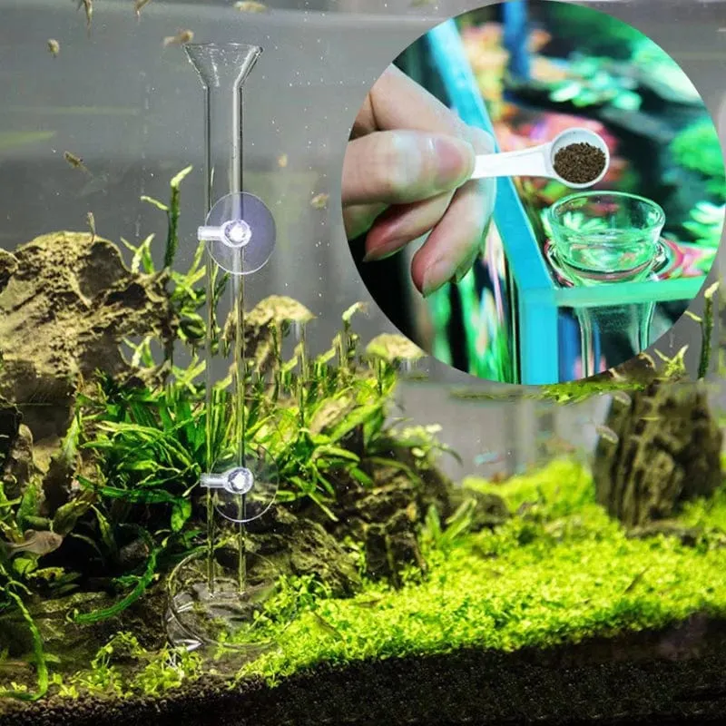 Glas Aquarium Feeder Tube Dish Transparent Aquarium Garnelen Schnecke Futter Feeder Bowl Aquarium Fütterung Zubehör Garnelen Feeder