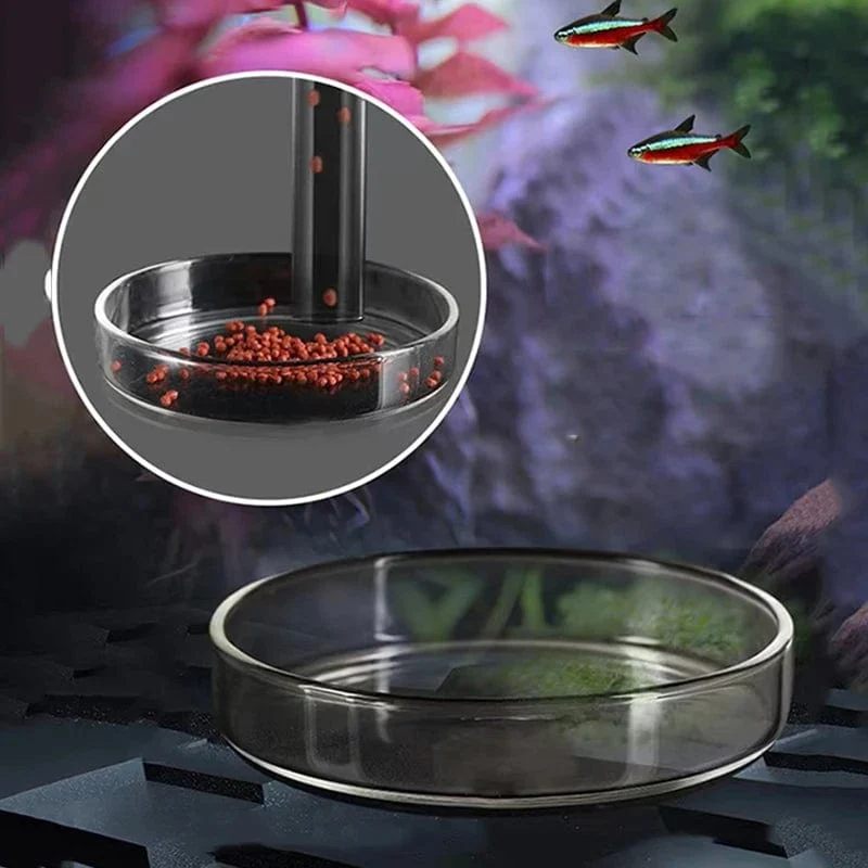 Glas Aquarium Feeder Tube Dish Transparent Aquarium Garnelen Schnecke Futter Feeder Bowl Aquarium Fütterung Zubehör Garnelen Feeder