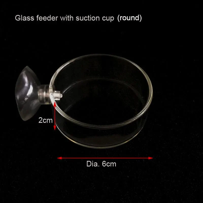 Glas Aquarium Feeder Tube Dish Transparent Aquarium Garnelen Schnecke Futter Feeder Bowl Aquarium Fütterung Zubehör Garnelen Feeder