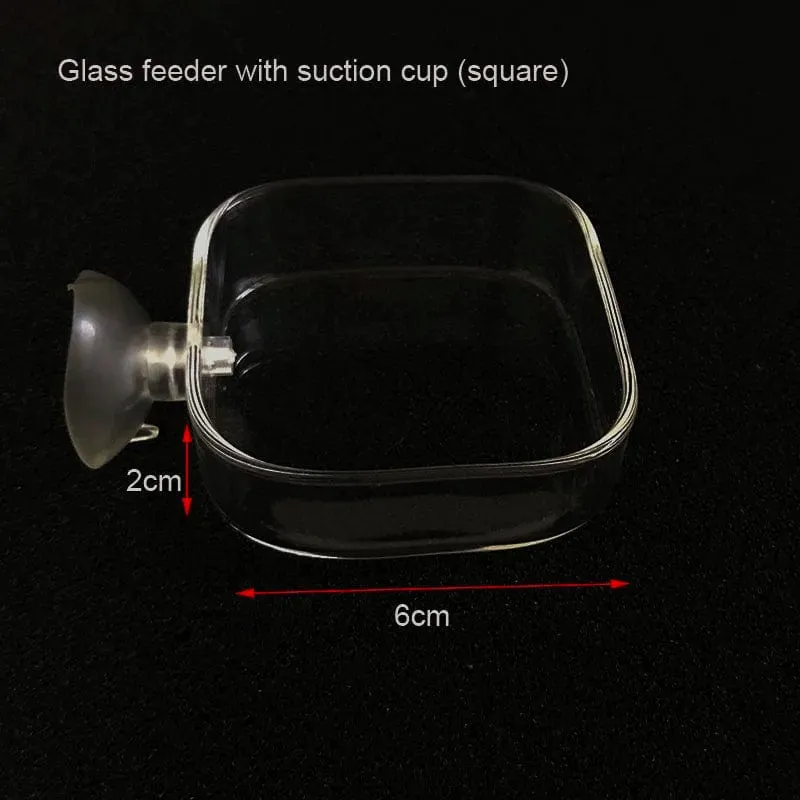 Glas Aquarium Feeder Tube Dish Transparent Aquarium Garnelen Schnecke Futter Feeder Bowl Aquarium Fütterung Zubehör Garnelen Feeder