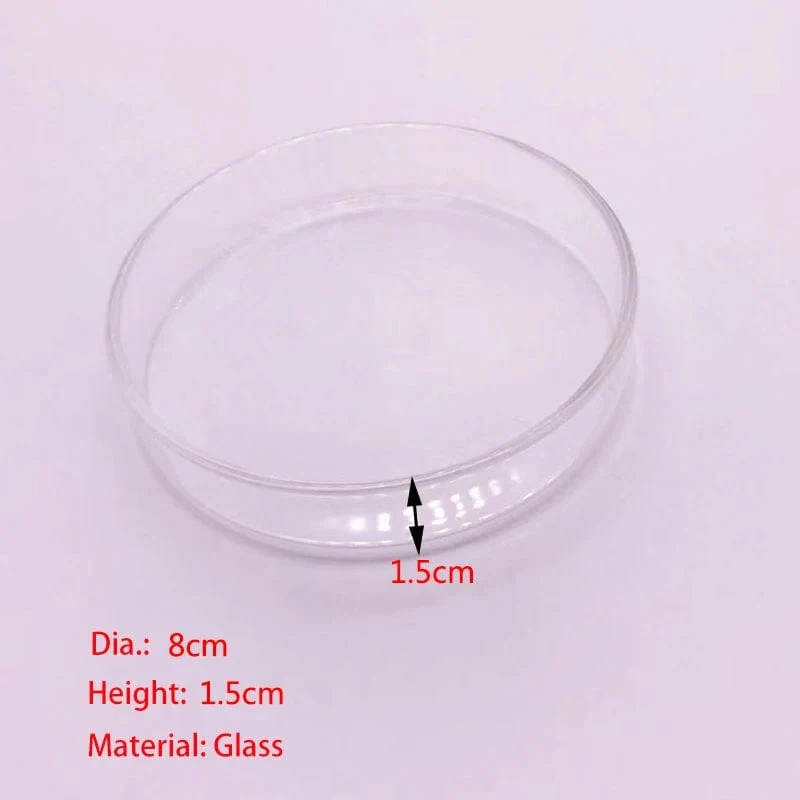 Glas Aquarium Feeder Tube Dish Transparent Aquarium Garnelen Schnecke Futter Feeder Bowl Aquarium Fütterung Zubehör Garnelen Feeder