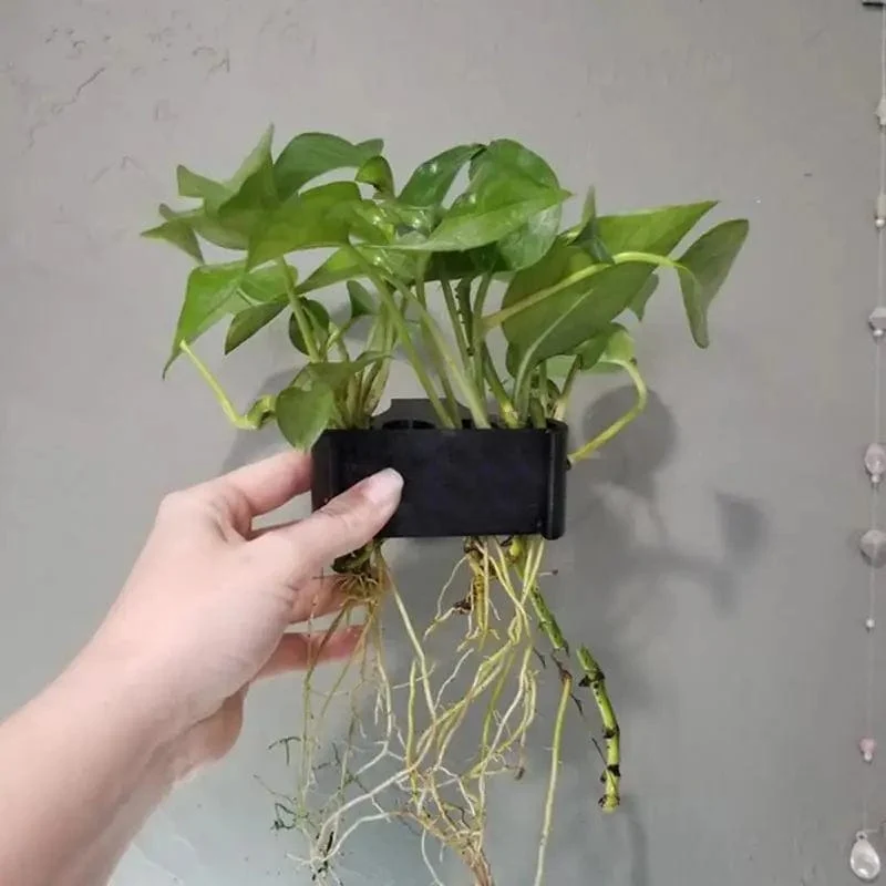 Hängender Aquarium-Pflanzenhalter, Wasserpflanzentopf mit Loch, Aquarium-Pflanzbecher für auftauchende Pflanzen, Aquascape-Dekorationen