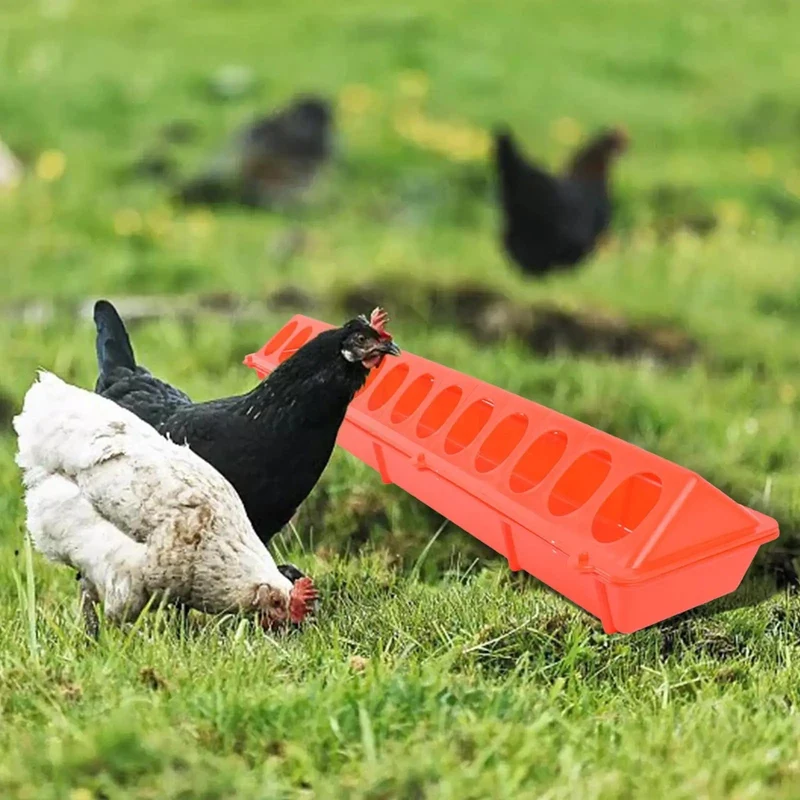 Kunststoff-Futterspender für Geflügel mit Klappdeckel, Vogelfutter, langer Trog, Wassernapf, Landwirtschafts-Werkzeugkasten für Pfauen, Fasane, Nymphensittiche, Küken, Tauben