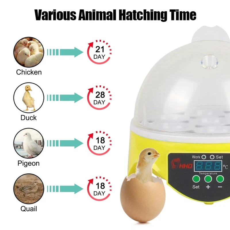 Brüter für Hühner, Enten, Vögel, Tauben, Geflügel, Brutapparat, einstellbare digitale Temperatur, Mini-Ei-Inkubator, automatisch, 7 Eier