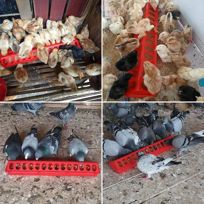 20/30/40/50 cm Zweireihig 12-28 Löcher Geflügel Boden Feeder Kunststoff Clamshell Fütterung Huhn Groove Farm Zucht Liefert