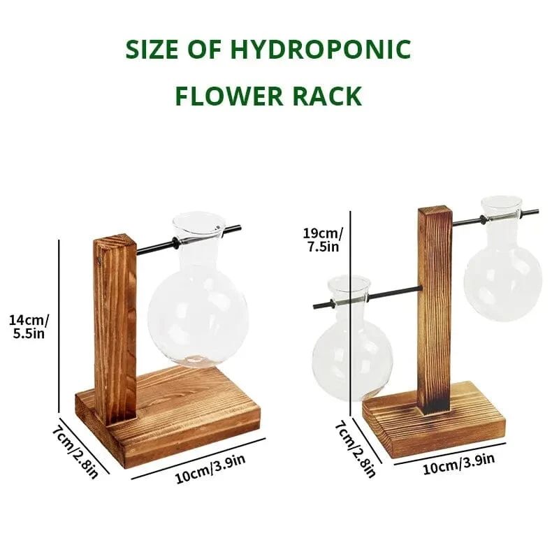 Transparente Glühbirnenvase mit Holzständer, Tisch-Pflanzgefäß aus Glas für Hydrokulturpflanzen, Café-Raumdekor