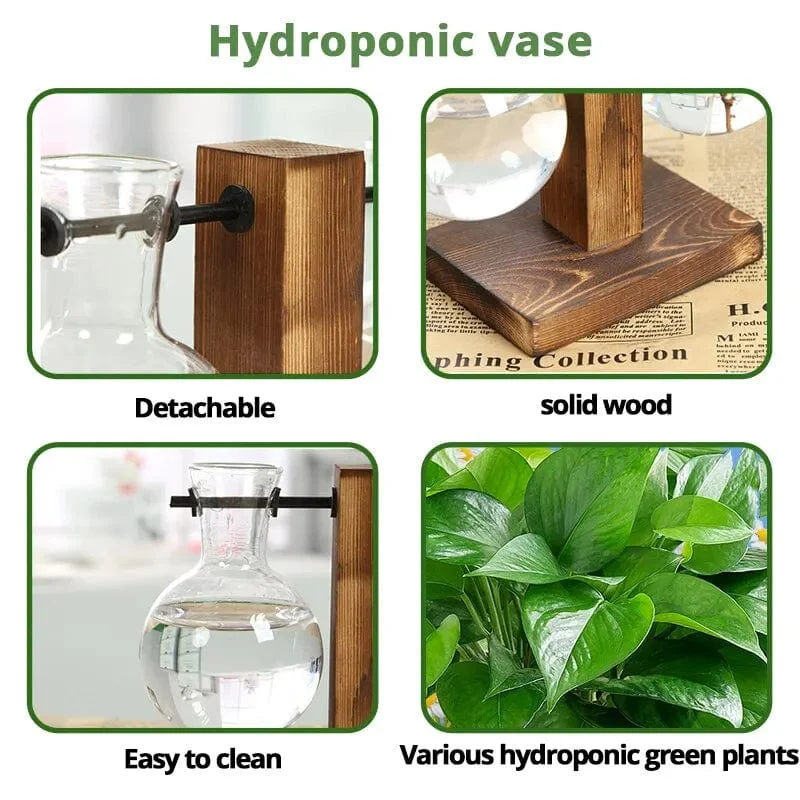 Transparente Glühbirnenvase mit Holzständer, Tisch-Pflanzgefäß aus Glas für Hydrokulturpflanzen, Café-Raumdekor