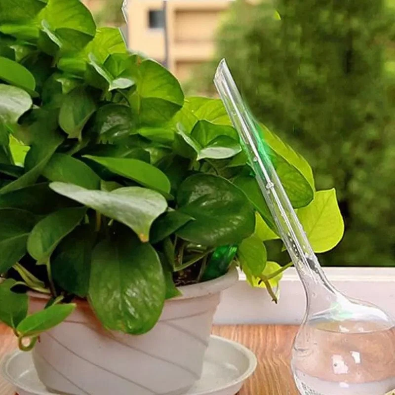 Pflanzenbewässerungsspender, automatische Plastikbälle, Gartenbewässerungsgerät, Pflanzenbewässerungsbirnen, selbstbewässernde Tropfbewässerungsgeräte
