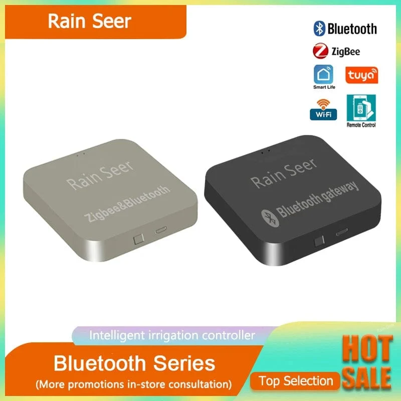 Rain Seer Tuya Smart Leben Bluetooth Gateway WIFI Bluetooth Dual Control ausrüstung Smart Home Gateway Stecker Fernbedienung