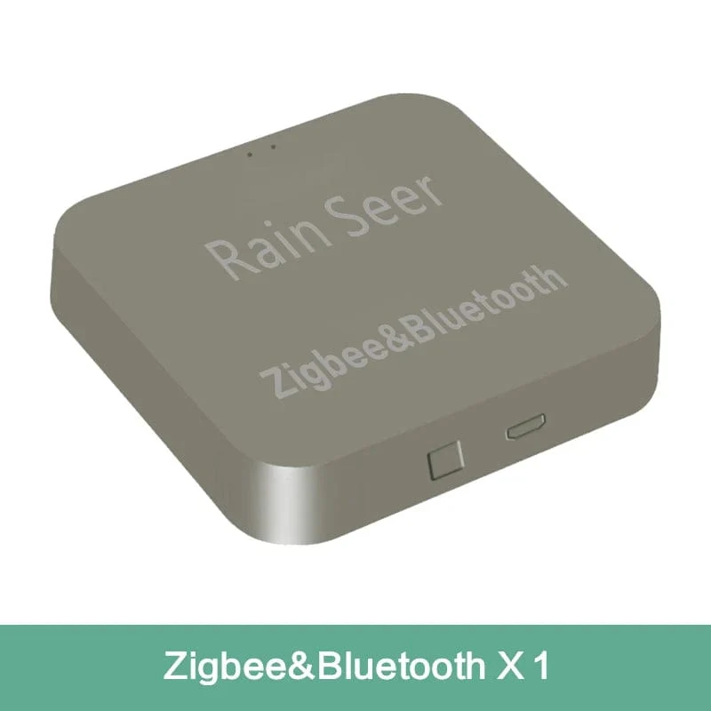 Rain Seer Tuya Smart Leben Bluetooth Gateway WIFI Bluetooth Dual Control ausrüstung Smart Home Gateway Stecker Fernbedienung