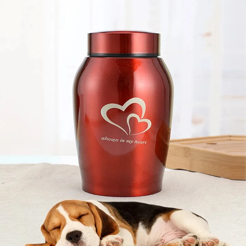 Urne für mehrfarbige Hundeurnen aus Edelstahl für Katzen, Vögel, Mäuse, Einäscherungsasche, versiegelte Beerdigungsurne für Hunde, Haustier-Souvenirglas