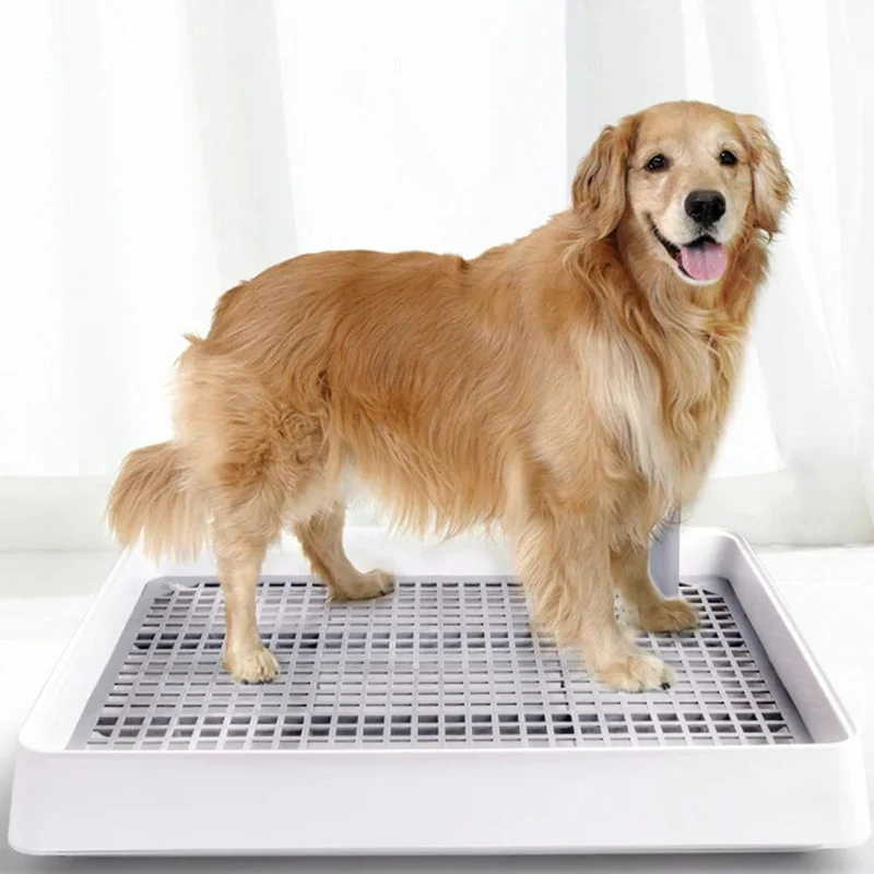 Hundetoilette, verdicktes Tablett, Kunststoffpaletten, für Haustiere, Welpen, Urin, Haushalt, Training, tragbar
