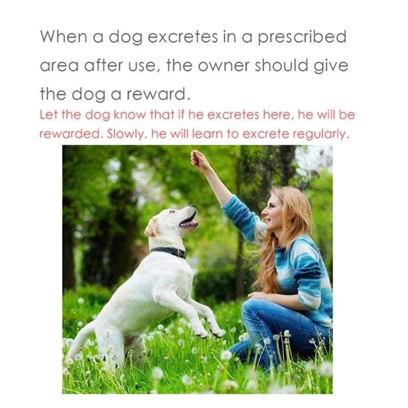 30 ml Trainingsspray-Induktor Positionierungs-Defäkations-Induktor Welpen-Trainingsmittel für Hunde-Welpen-Toilettentrainer Haustier