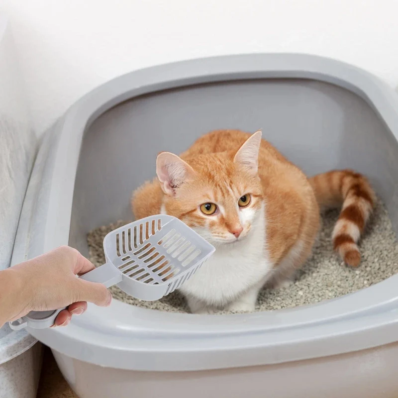 2 Stück Katzenstreu-Schaufelsieb mit tiefschwarzem Tablett